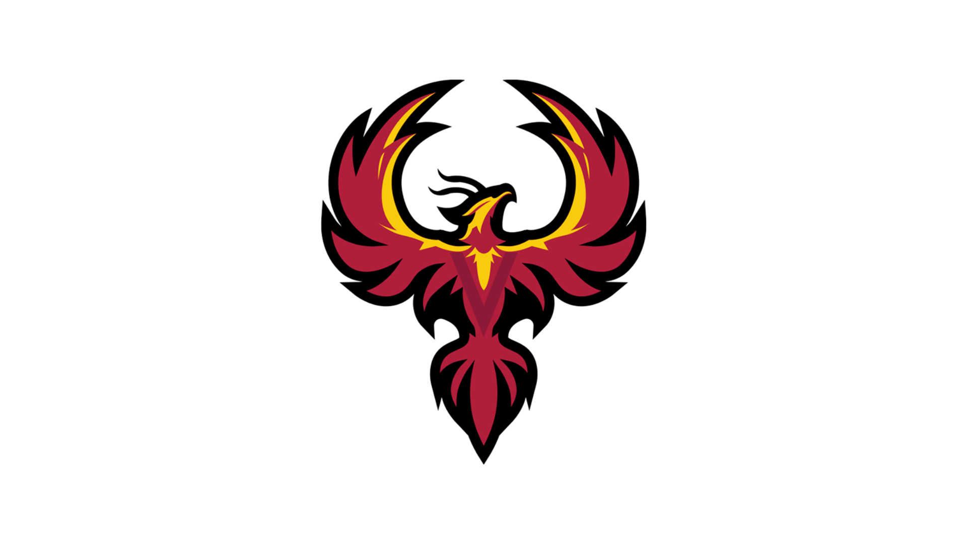 Women's Basketball Team Interest
